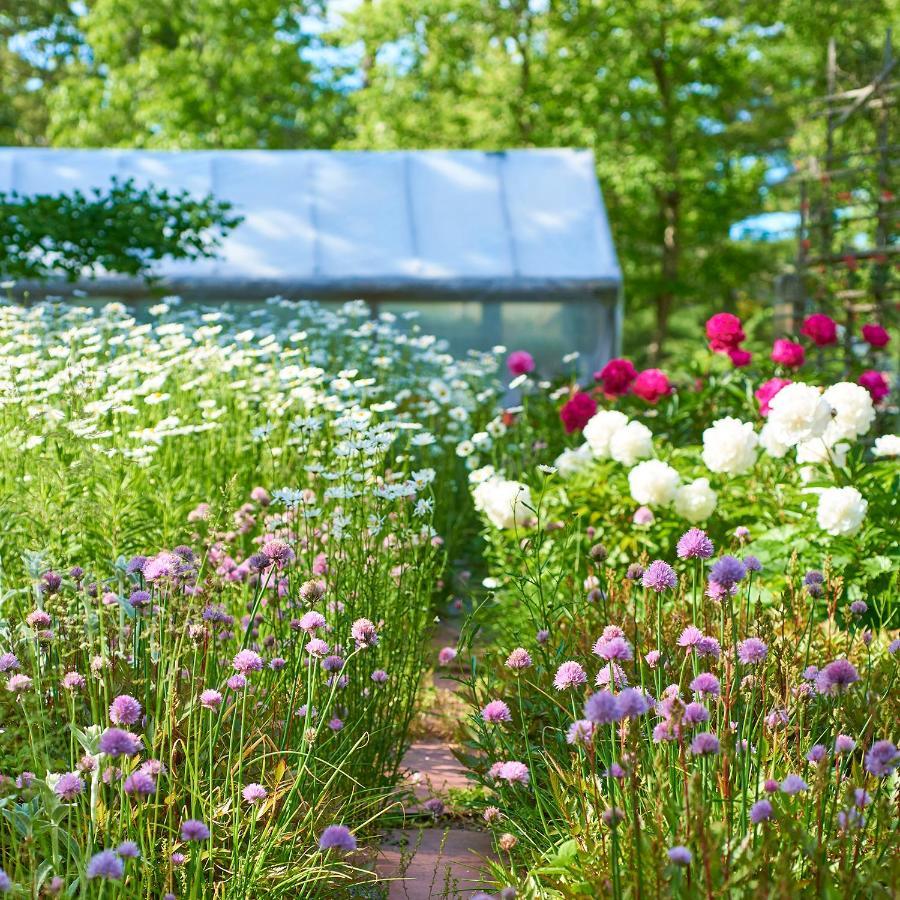 The Hampton Maid Hotell Hampton Bays Exteriör bild